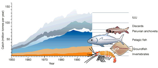 Depleting Fish Stock Graph Analysis - Biology Blog